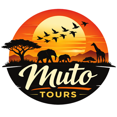 Muto Tours
